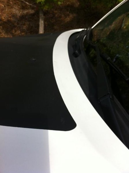 head - rear edge.jpg