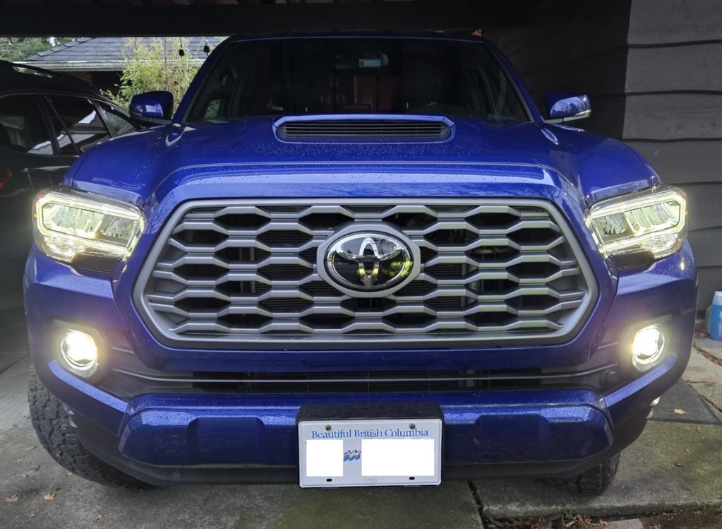 Headlight low beams and fogs.jpg