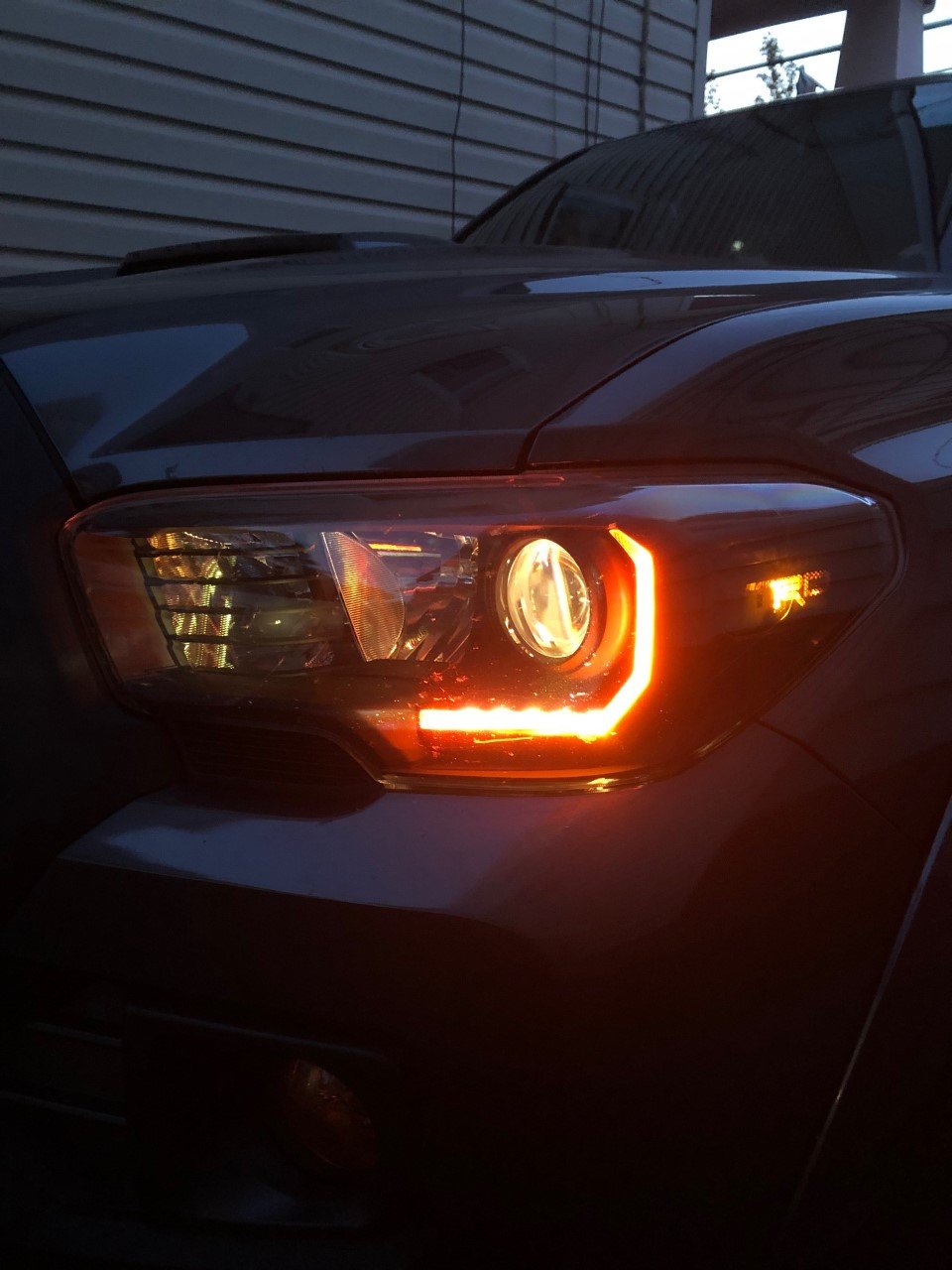 headlight7.jpg