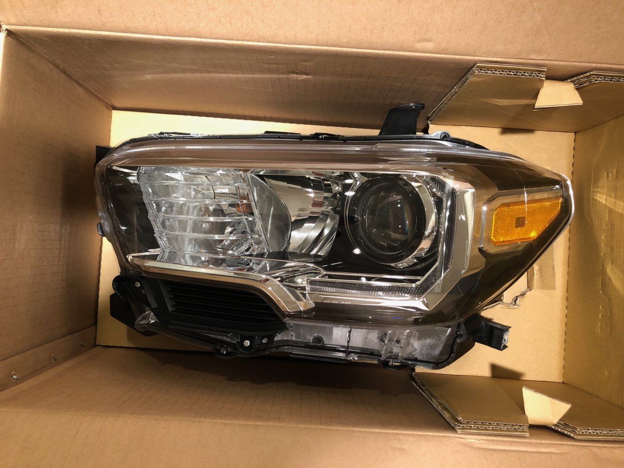 Headlights - 1.jpg