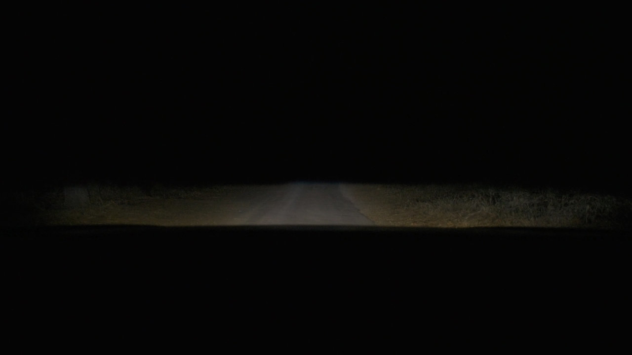 Headlights.jpg