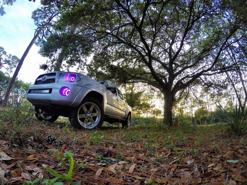 headlights4.jpg