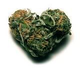 heartbud_580af1037e8176e290ed4038addc37527554fbf0.jpg