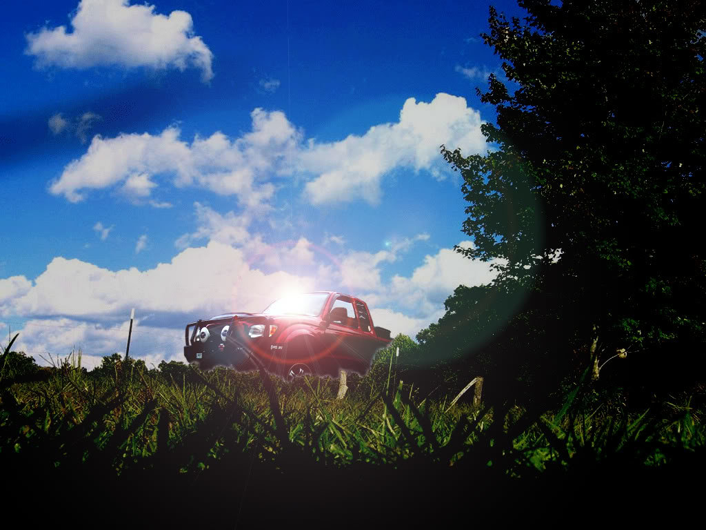 heavenly-tacoma_e40f38a0123788413f5f518b0e991a767d9dea60.jpg
