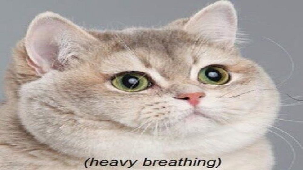 Heaving breathing.jpg