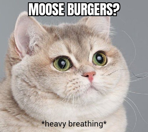 Heavy Breathing Cat 15032021165708.jpg