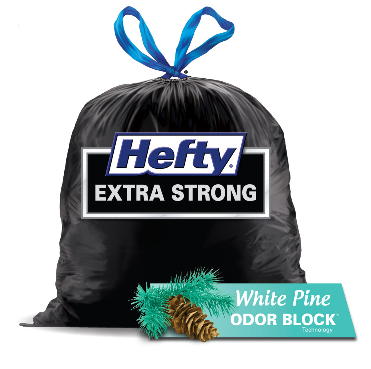 Hefty_Extra_Strong_with_White_Pine_Odor_Block_large_black_bag.jpg