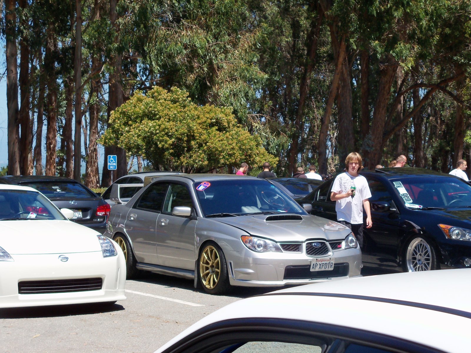 Hellaflush 6 5.jpg