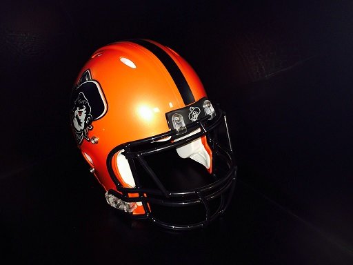 helmet_205610709c73d5443e2b8957447e7bff2c1e2865.jpg