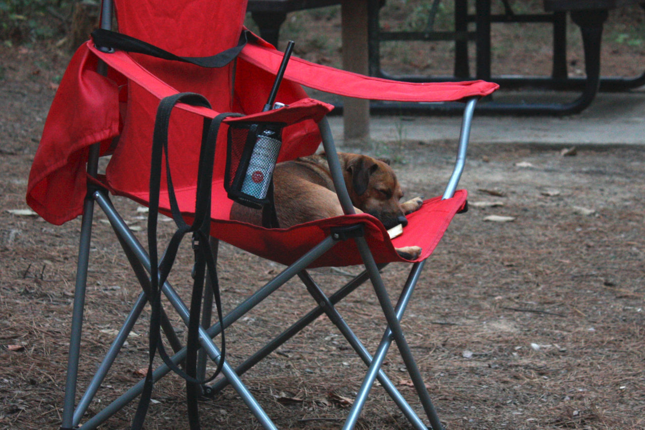 HenryChair.jpg