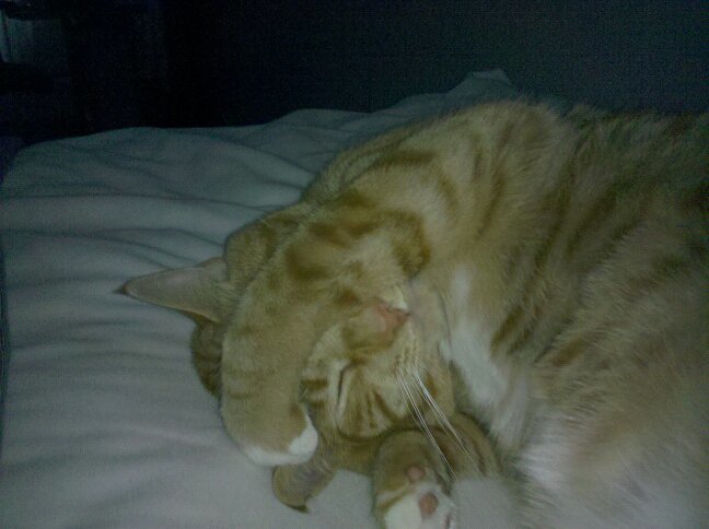 He's had a long day.jpg