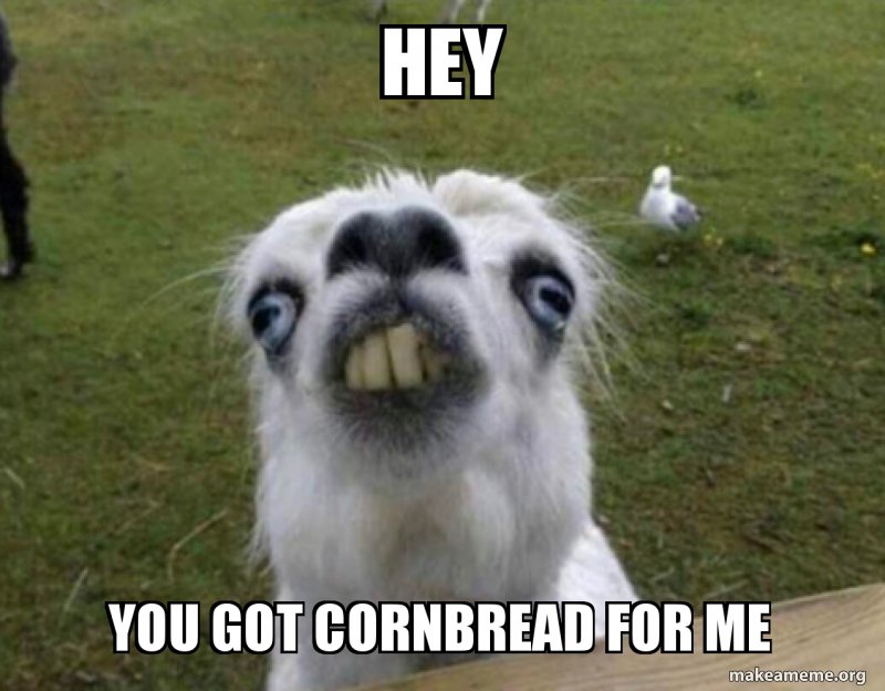 hey-you-got-f8d6c5dcdc.jpg