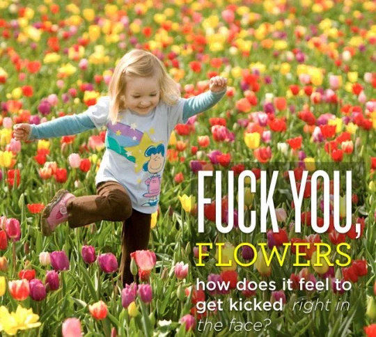 HF6ew8a6StulDHC9PQeDNDyZcXFLx6gmaKRnmTxx7so.jpg