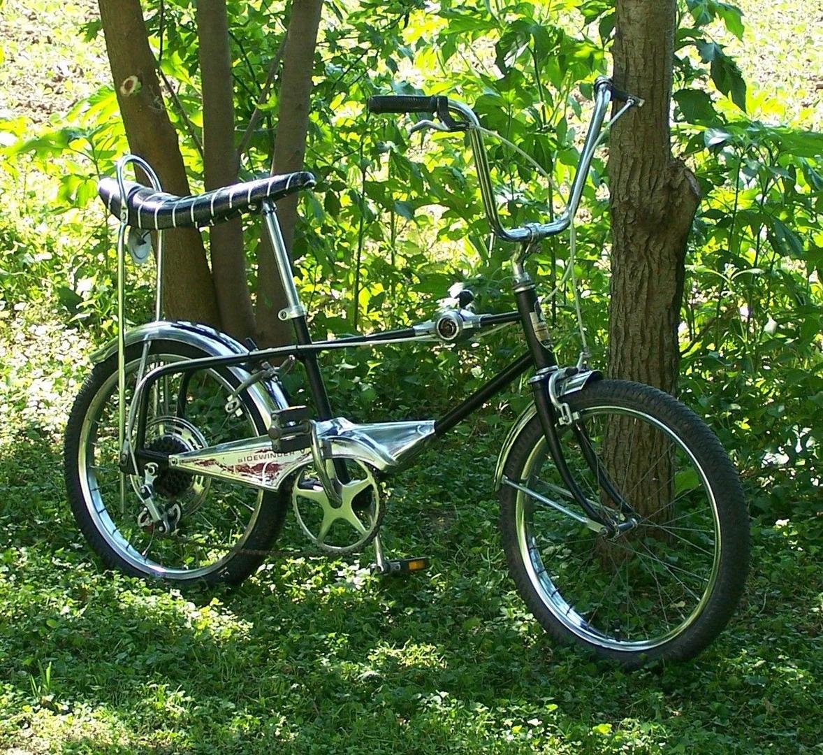 Hiawatha stingray.jpg