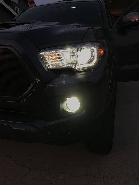 HID and LED.jpg