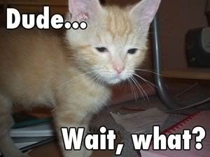 high_kitty_2fffaec28432be455716a79822ea0f5ec48b010a.jpg