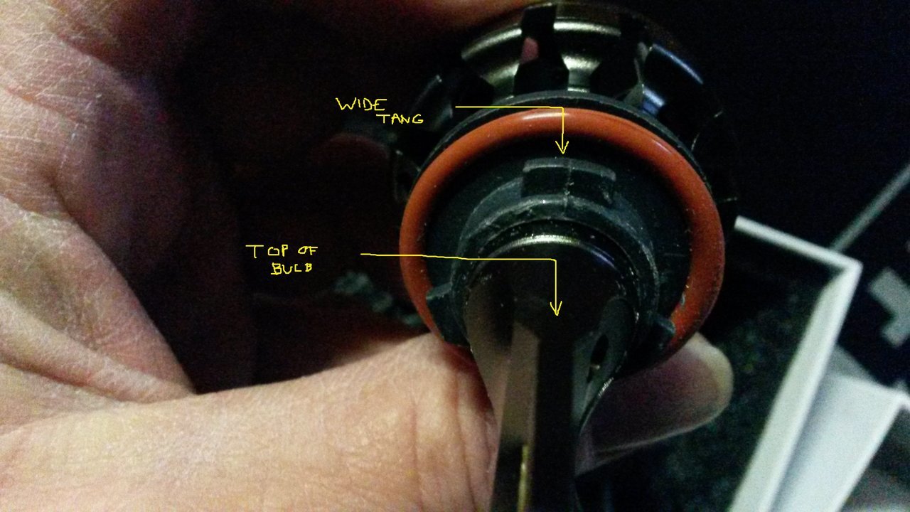 hikari bulb.jpg