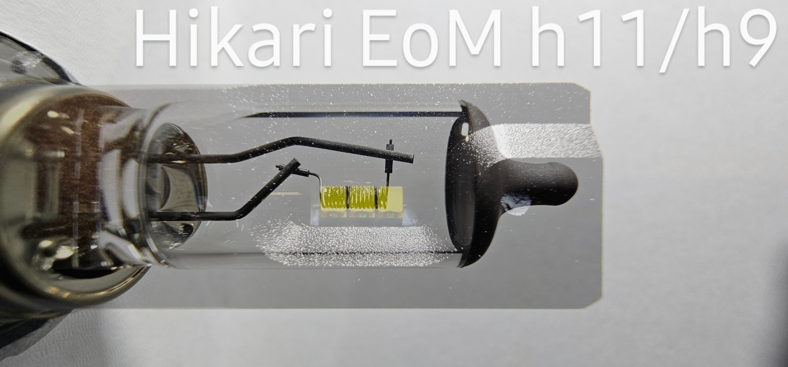 Hikari.jpg