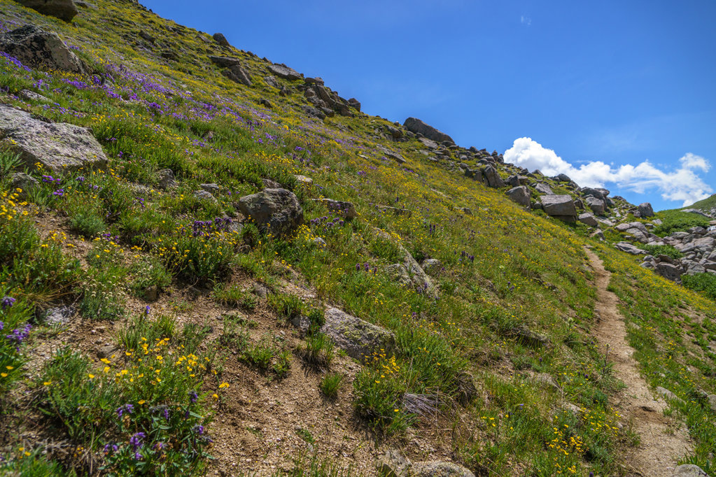 hike12s.jpg