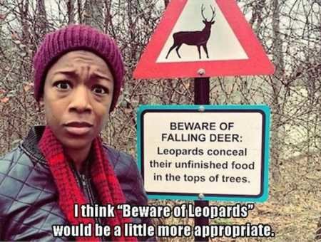 Hilarious-Pictures-524.jpg