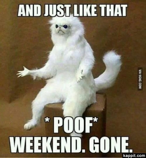 Hilaruois-Funny-Monday-Memes-Images-2.jpg