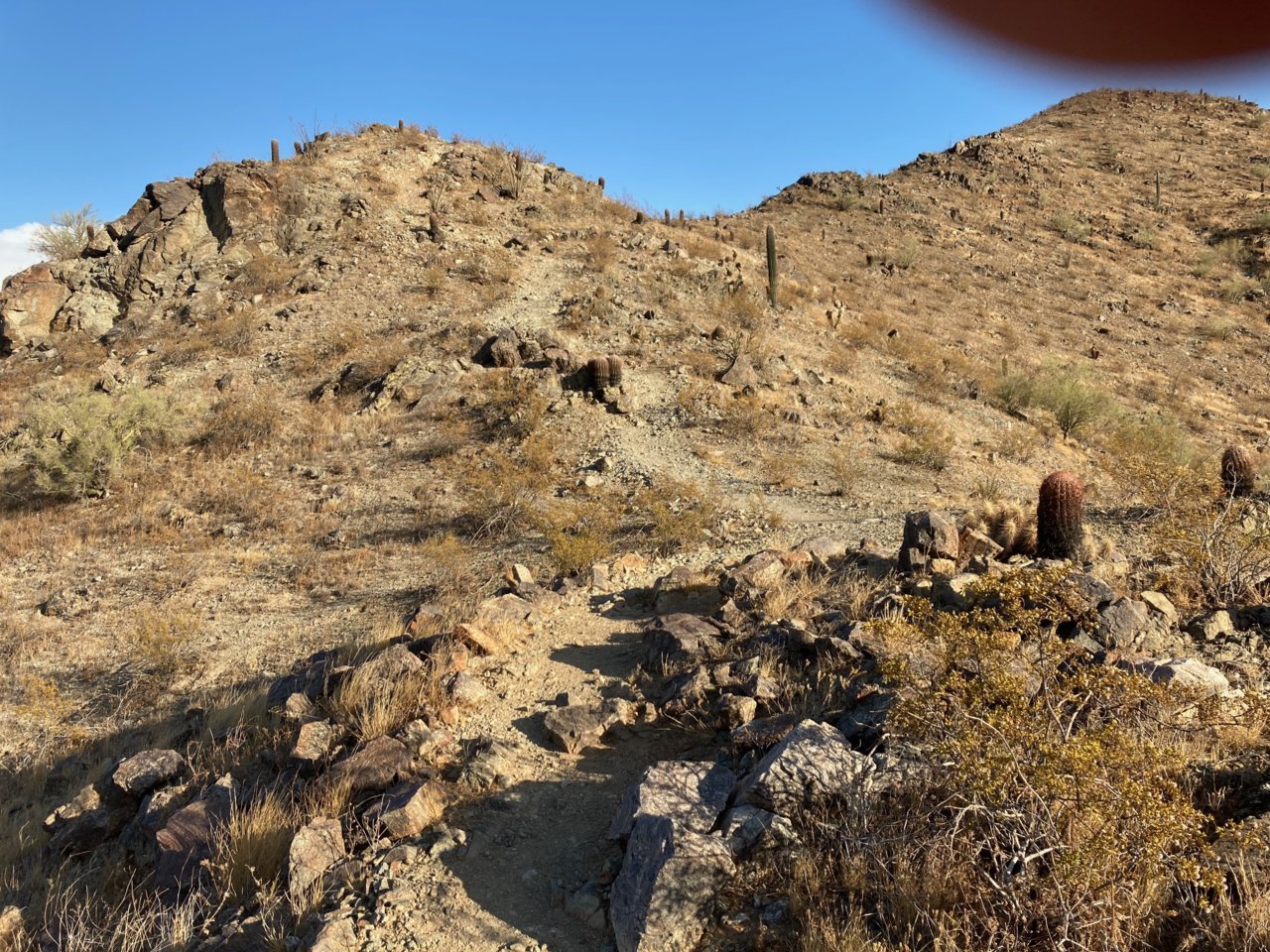 Hill0808.jpg