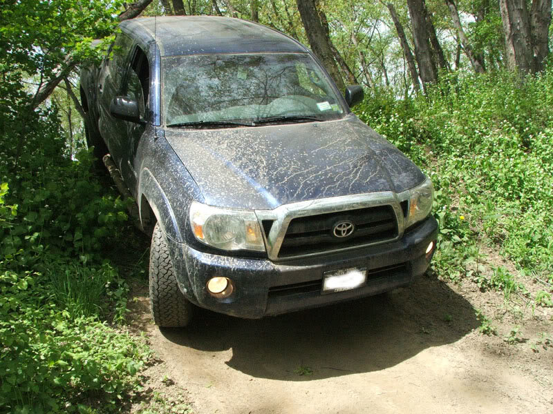 hill4_4d3bf3a7abce8affa6fbdf92e44aa1f770705498.jpg
