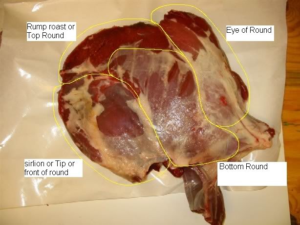 hind_quarter2small-1_6e09c5f05038eabbe1968c9c401715cf70c54dd0.jpg