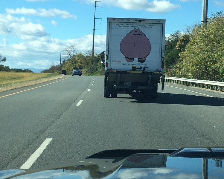 hippo.jpg