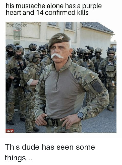his-mustache-alone-has-a-purple-heart-and-14-confirmed-28010105.jpg