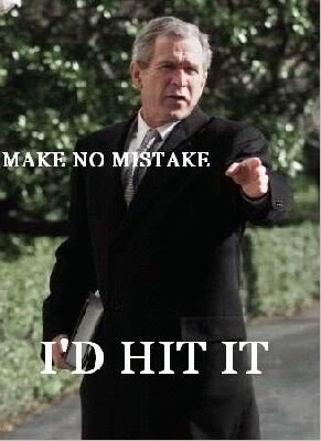 hitit-bush_ce40854043d3483773e6d1503aefbfb97bbe8c2a.jpg