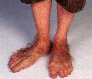 hobbit_feet-300x258.jpg