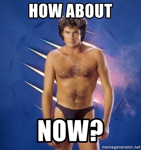 hoff3.jpg