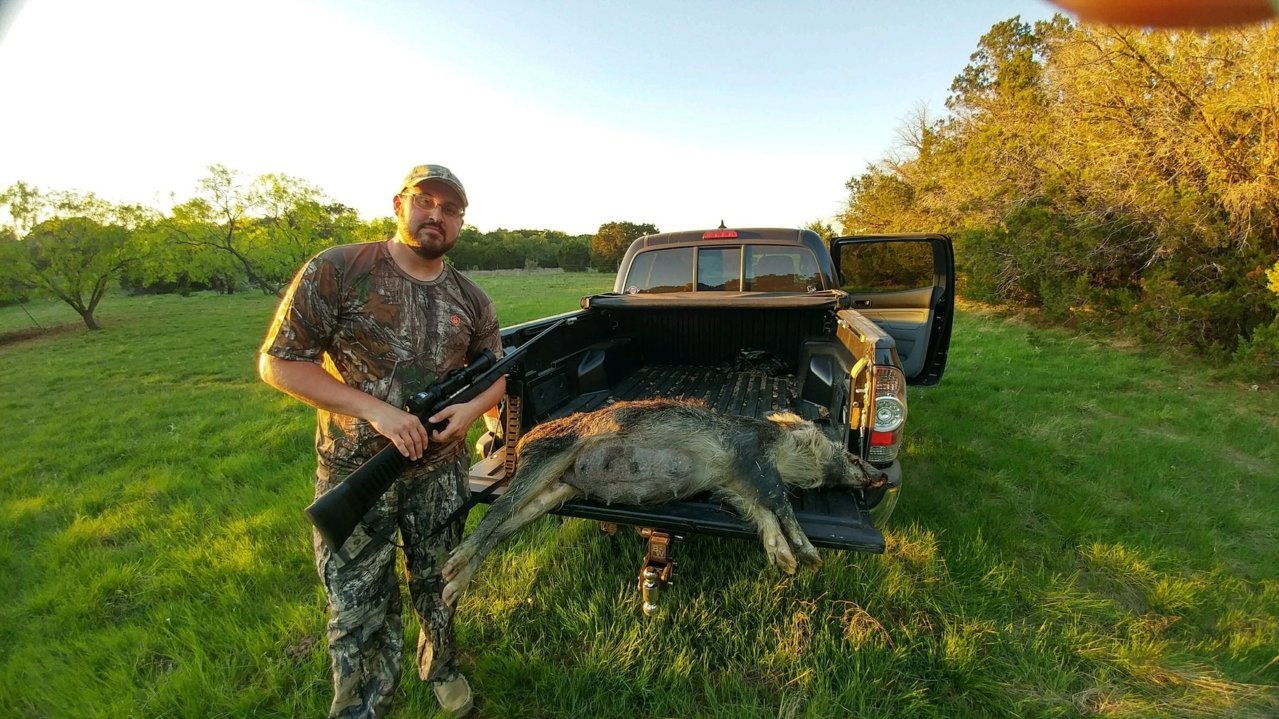 hog 3.31.17.jpg