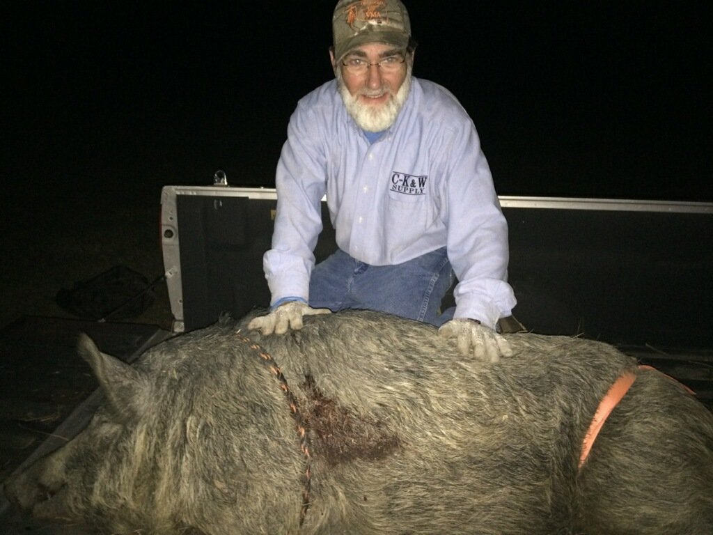 hog wild.jpg
