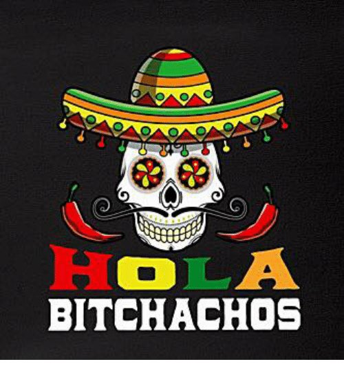 hola-bitchachos-32364366.jpg