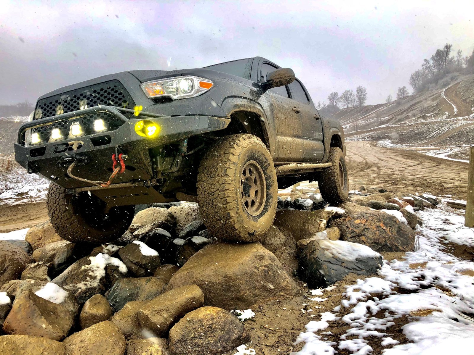Holly ORV.jpg