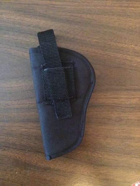 Holster 2.jpg