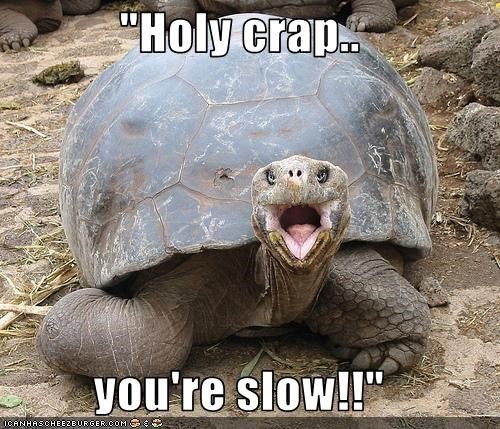 holy-crap-youre-slow.jpg