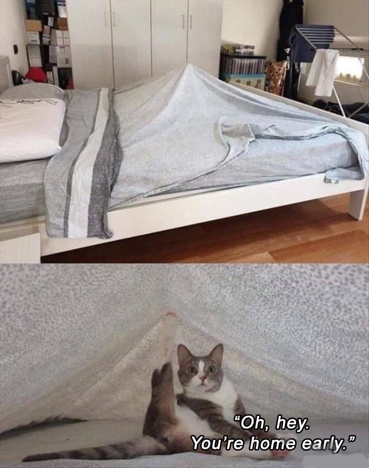 home-early.jpg