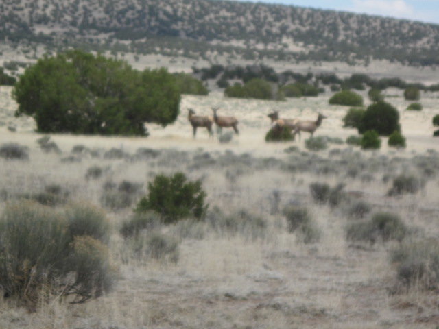 home&hunts 003.jpg