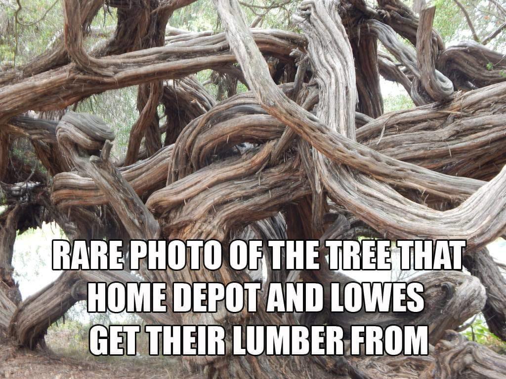 homedepot.jpg