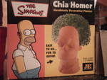 homer.jpg
