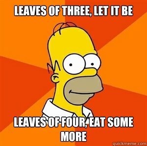 homer_zpsza10h3e6_3d0f4f8937152c00e5e6f2d69eb176f9d60f2efc.jpg