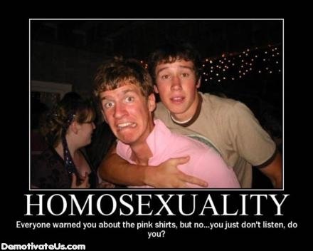 homosexuality-pink-shirt-fag-demotivational-posters.jpg