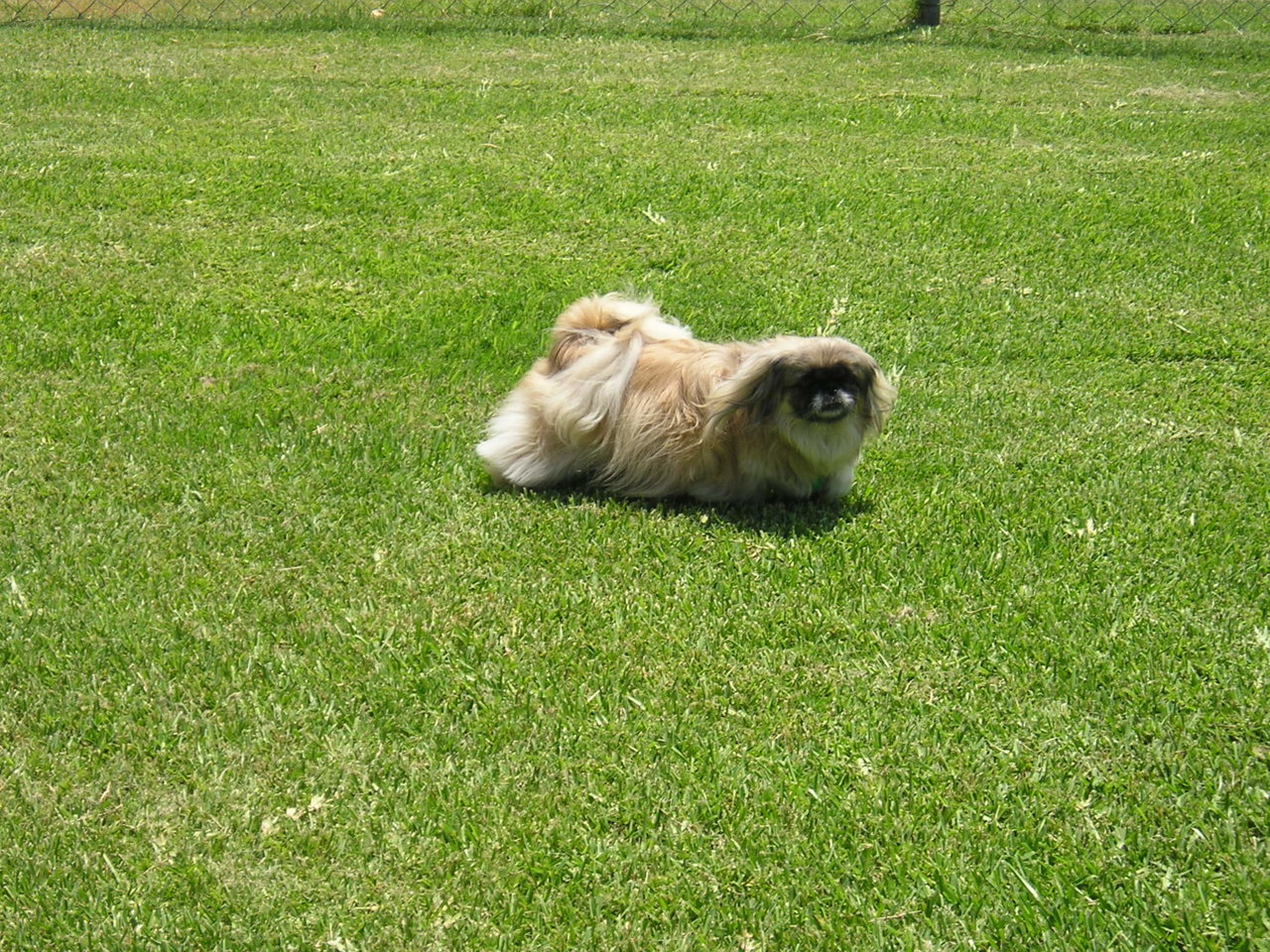 HONEY 007.jpg