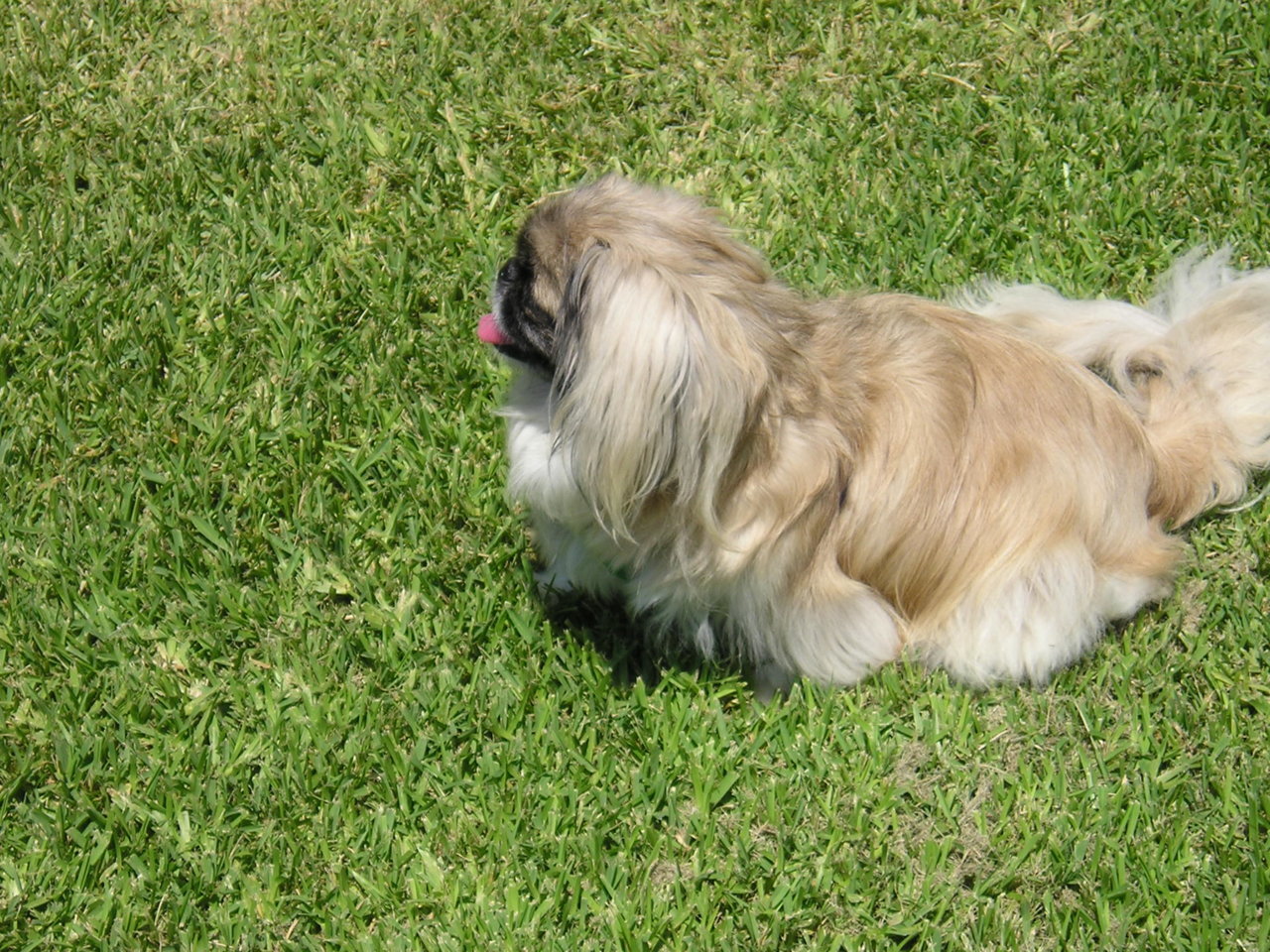 HONEY 009.jpg