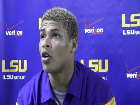 honey badger.jpg