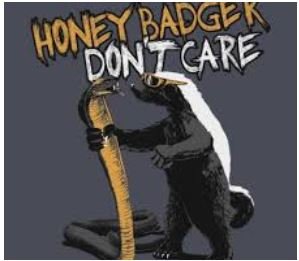 Honey badger.jpg