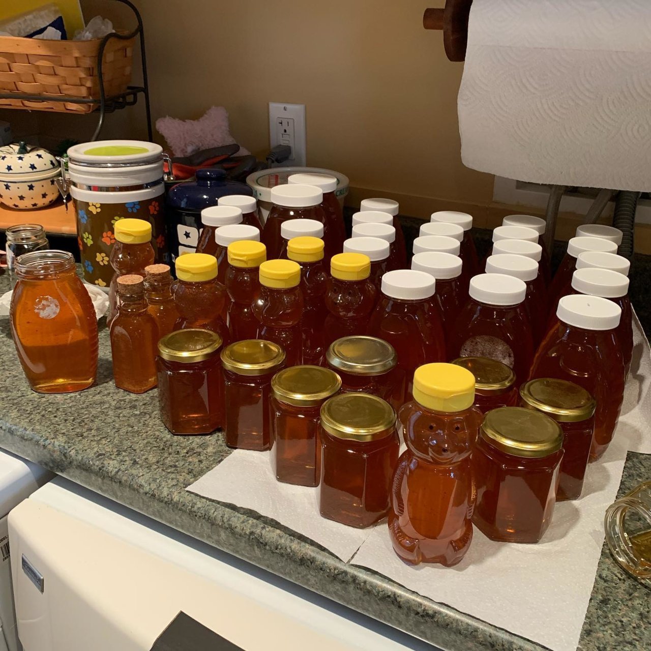 Honey.jpg